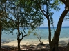 mojo_island_0051