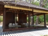 mojo_island_0061