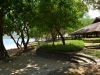 mojo_island_0076