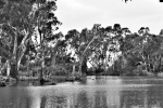 munga_national_park_020