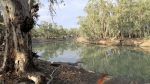 munga_national_park_022