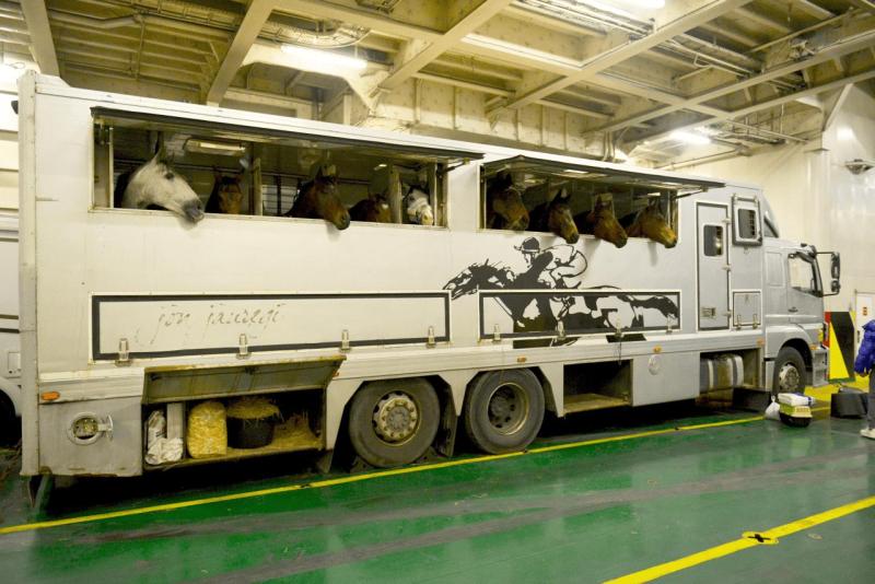 mv_marie_curie_017