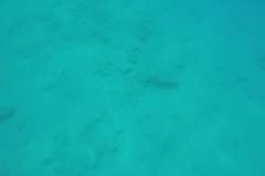 mykonos_marina