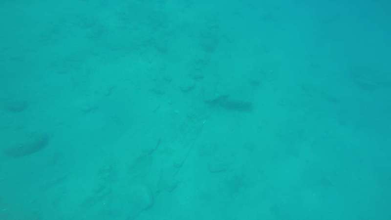 mykonos_marina_0106