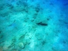 mykonos_marina_0076