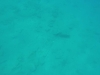 mykonos_marina_0106