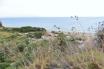 dimitrios_0003