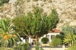 dimitrios_0013