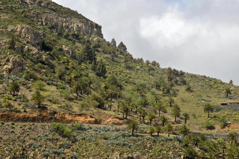 nach_teneriffa_006