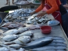 nai_yang_beach_market_0021