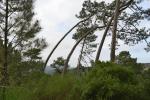 nazare_stadt_2022_0018