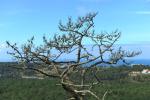nazare_stadt_2022_0023
