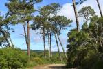 nazare_stadt_2022_0024