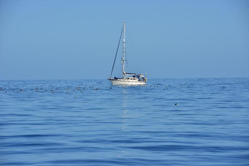 new_zealand_1_0011