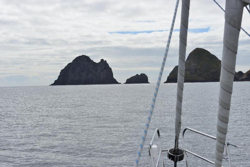 new_zealand_1_0046