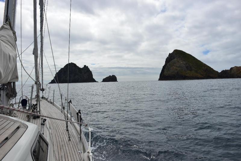 new_zealand_1_0051
