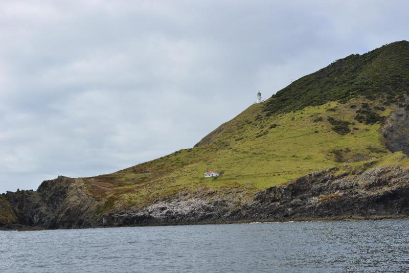 new_zealand_1_0056