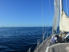 new_zealand_1_0001