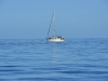 new_zealand_1_0011