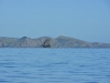 new_zealand_1_0016