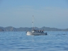 new_zealand_1_0021