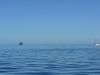 new_zealand_1_0031