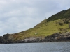 new_zealand_1_0056