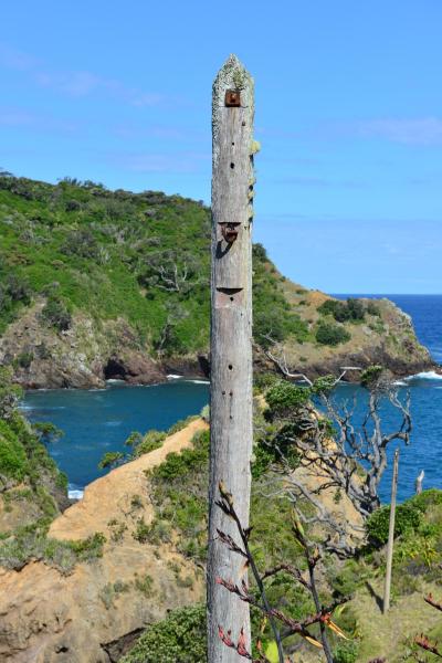newzealand_2_0016