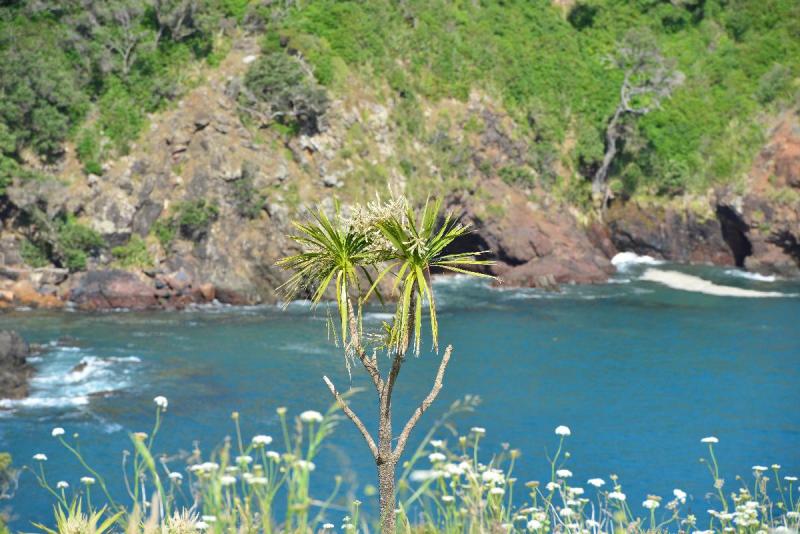newzealand_2_0051
