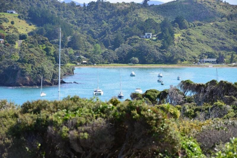 newzealand_2_0061