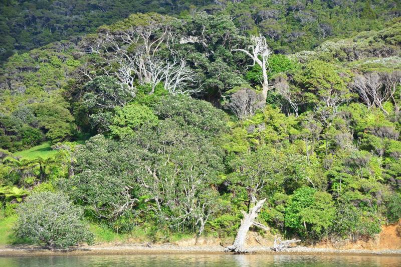 newzealand_2_0076