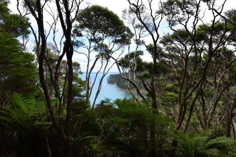 newzealand_2_0111