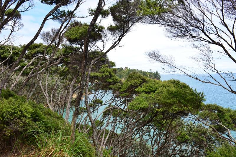 newzealand_2_0116