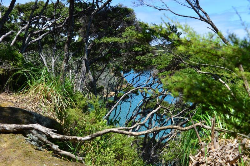 newzealand_2_0131
