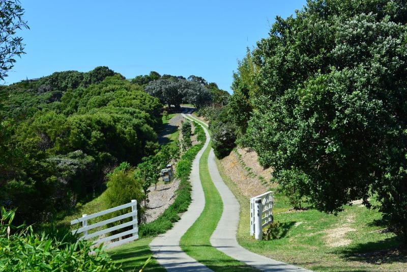newzealand_2_0181