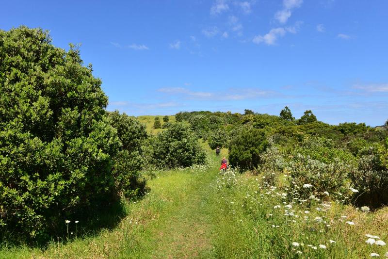 newzealand_2_0186