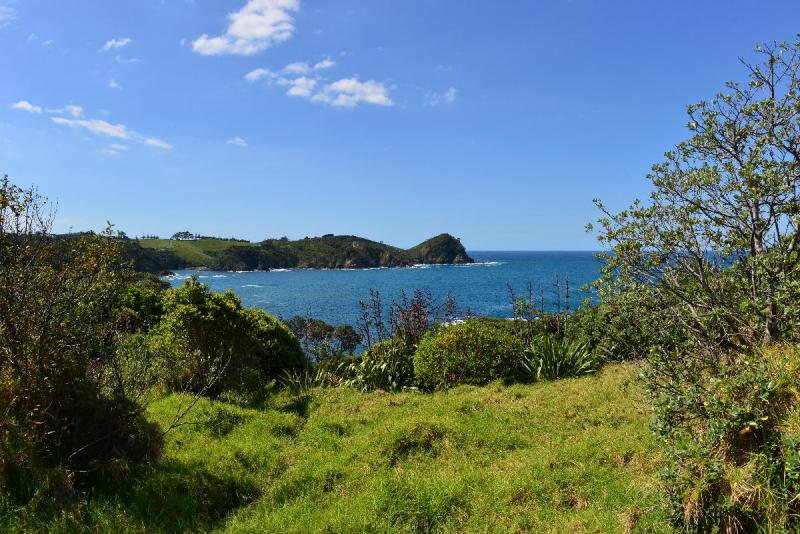 newzealand_2_0191