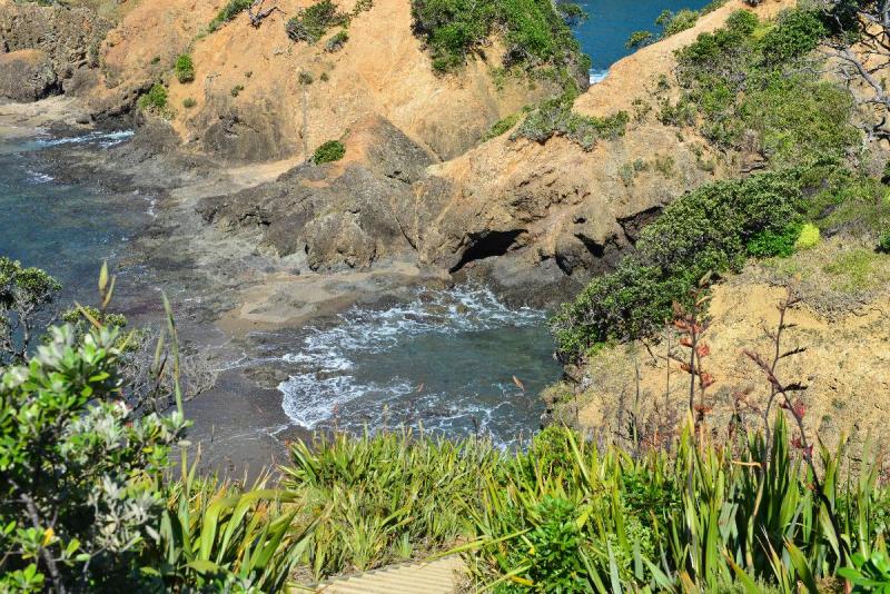 newzealand_2_0201