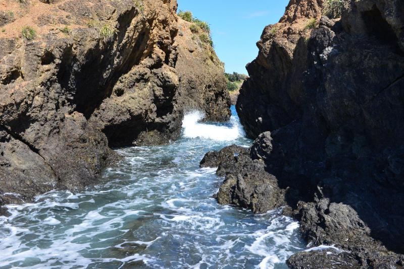 newzealand_2_0211