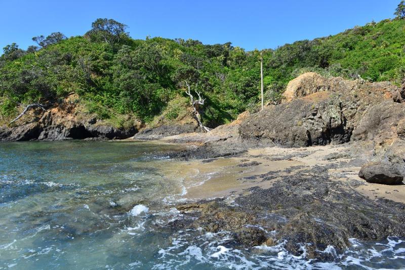 newzealand_2_0216