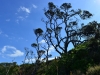 newzealand_2_0026