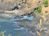 newzealand_2_0031