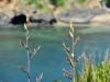 newzealand_2_0036