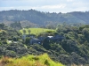 newzealand_2_0041
