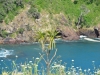 newzealand_2_0051