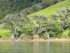 newzealand_2_0071