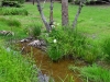newzealand_2_0091