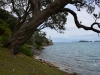 newzealand_2_0106