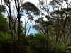 newzealand_2_0111