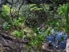 newzealand_2_0126